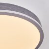 Salmi Plafonnier, Panel LED Gris, Argenté, 1 lumière