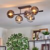 Gastor Plafonnier, Boule lumineuse Chrome, Clair, Fumé, 5 lumières