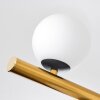 Chehalis Plafonnier, Boule lumineuse Or, Noir, 10 lumières