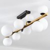Chehalis Plafonnier, Boule lumineuse Or, Noir, 10 lumières