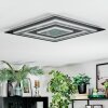 Lidor Plafonnier LED Anthracite, Gris, Noir, 1 lumière