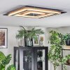 Lidor Plafonnier LED Anthracite, Gris, Noir, 1 lumière