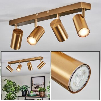 Javel Plafonnier, Spot de plafond Or, 4 lumières