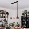 Gastor Suspension, Boule lumineuse, Suspension Ambre, Fumé, 3 lumières