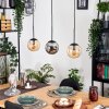 Gastor Suspension, Boule lumineuse, Suspension Ambre, Fumé, 3 lumières