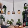 Gastor Suspension, Boule lumineuse, Suspension Ambre, Fumé, 3 lumières