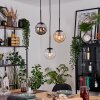 Gastor Suspension, Boule lumineuse, Suspension Ambre, Clair, Fumé, 3 lumières