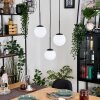 Gastor Suspension, Boule lumineuse, Suspension Blanc, 3 lumières