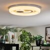 Rarel Plafonnier LED Argenté, Blanc, 1 lumière