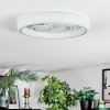 Rarel Plafonnier LED Argenté, Blanc, 1 lumière