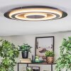 Lidor Plafonnier LED Noir, 1 lumière