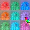Rayen Bande LED LED Blanc, 1 lumière, Changeur de couleurs