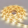Rayen Bande LED LED Blanc, 1 lumière, Changeur de couleurs