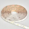 Rayen Bande LED LED Blanc, 1 lumière, Changeur de couleurs