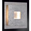 Applique murale Wofi ENNIS LED Argenté, 1 lumière