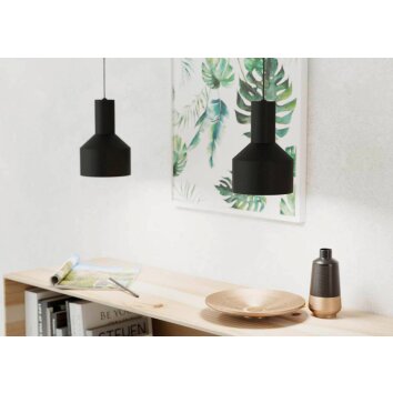 Suspension Eglo-Leuchten CASIBARE Noir, 1 lumière