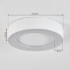 plafonnier extérieur  Paleroo LED Blanc, 1 lumière