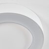 plafonnier extérieur  Paleroo LED Blanc, 1 lumière