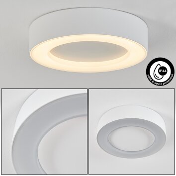 plafonnier extérieur Paleroo LED Blanc, 1 lumière plafonnier extérieur Paleroo LED Blanc, 1 lumière