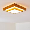 Plafonnier Sora Wood LED Blanc, 1 lumière