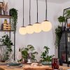 Gastor Suspension, Boule lumineuse, Suspension Blanc, 4 lumières