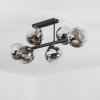 Ripoll Plafonnier, Boule lumineuse Chrome, Clair, Fumé, 6 lumières