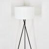 Flemming Lampadaire Noir, 1 lumière