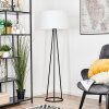 Flemming Lampadaire Noir, 1 lumière