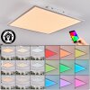 Orain Plafonnier, Panel LED Blanc, 1 lumière, Changeur de couleurs