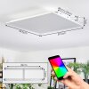 Orain Plafonnier, Panel LED Blanc, 1 lumière, Changeur de couleurs