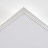 Orain Plafonnier, Panel LED Blanc, 1 lumière, Changeur de couleurs