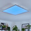 Orain Plafonnier, Panel LED Blanc, 1 lumière, Changeur de couleurs