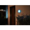 Applique murale Philips Hue White & Color Ambiance Daylo LED Acier inoxydable, 1 lumière