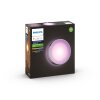 Applique murale Philips Hue White & Color Ambiance Daylo LED Acier inoxydable, 1 lumière