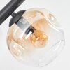 Ripoll Plafonnier, Boule lumineuse Ambre, Clair, Fumé, 6 lumières