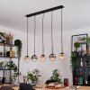 Gastor Suspension, Boule lumineuse, Suspension Ambre, Clair, Fumé, 5 lumières
