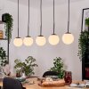 Gastor Suspension, Boule lumineuse, Suspension Blanc, 5 lumières