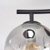 Ripoll Plafonnier, Boule lumineuse Clair, Fumé, 2 lumières