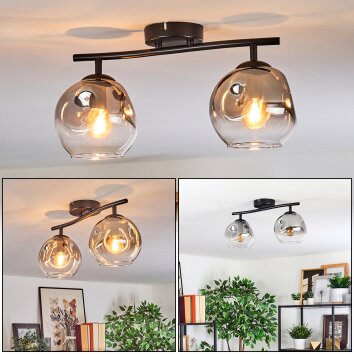 Ripoll Plafonnier, Boule lumineuse Clair, Fumé, 2 lumières