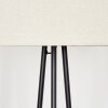 Flemming Lampadaire Noir, 1 lumière