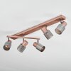 Nelar Plafonnier, Spot de plafond Bronze, Chrome, 5 lumières