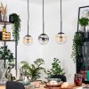 Gastor Suspension, Boule lumineuse, Suspension Ambre, Clair, Fumé, 3 lumières