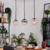 Gastor Suspension, Boule lumineuse, Suspension Ambre, Clair, Fumé, 3 lumières