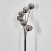 Koyoto Lampadaire 40 cm Fumé, 6 lumières Koyoto Lampadaire 40 cm Fumé, 6 lumières