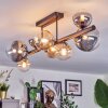 Chehalis Plafonnier, Boule lumineuse Ambre, Clair, Fumé, 8 lumières