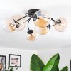 Chehalis Plafonnier, Boule lumineuse Ambre, Clair, 6 lumières