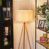 Flemming Lampadaire Écru, Noir, 1 lumière