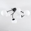 Chehalis Plafonnier, Boule lumineuse Blanc, 6 lumières