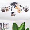 Chehalis Plafonnier, Boule lumineuse Ambre, Fumé, 6 lumières