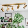 Javel Plafonnier, Spot de plafond Or, 5 lumières